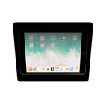 2. Acrylic iPad 9.7" 10.2" 11", iPad Air 9.7" 10.5" 10.9" 11" 13" Security VESA Case with Wall Mount or Desktop Stand options
