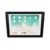 2. Acrylic iPad 9.7" 10.2" 11", iPad Air 9.7" 10.5" 10.9" 11" 13" Security VESA Case with Wall Mount or Desktop Stand options