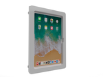 2. Acrylic iPad 9.7" 10.2" 11", iPad Air 9.7" 10.5" 10.9" 11" 13" Security VESA Case with Wall Mount or Desktop Stand options